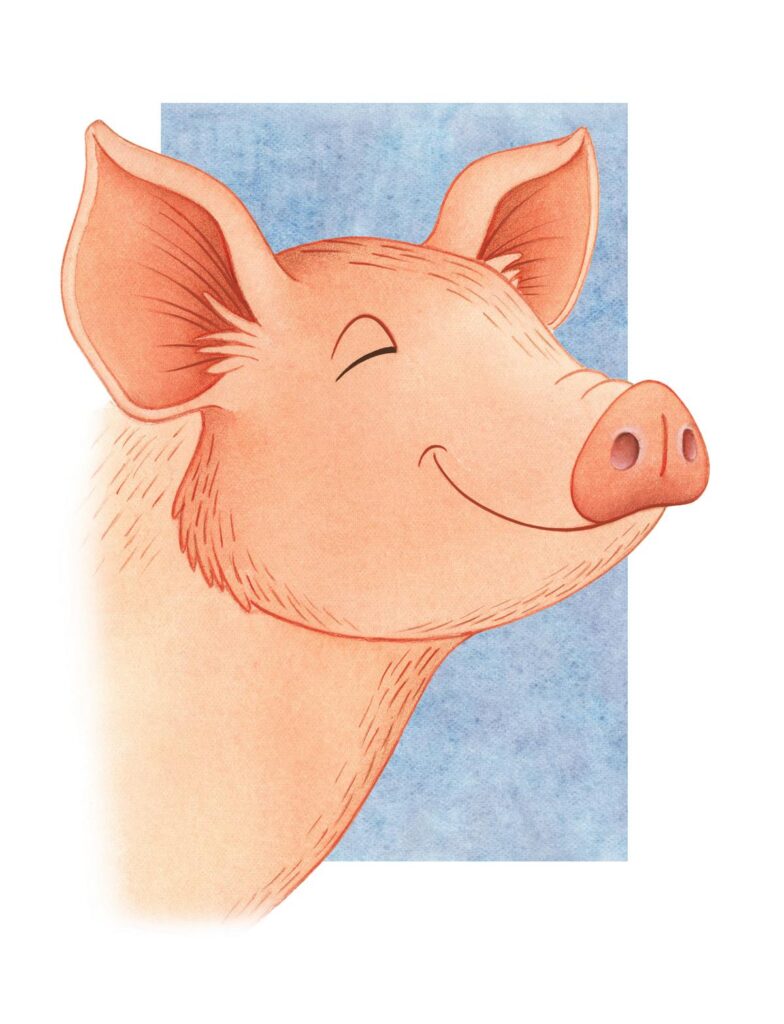 K1600_Maialino.02_Catalioti_Illustrator