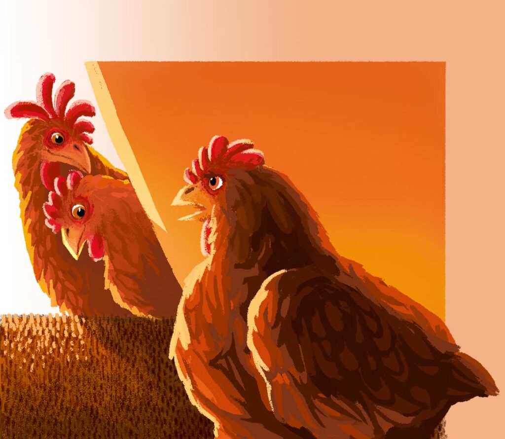 K1600_cassenshof_07_2 quinn herrmann