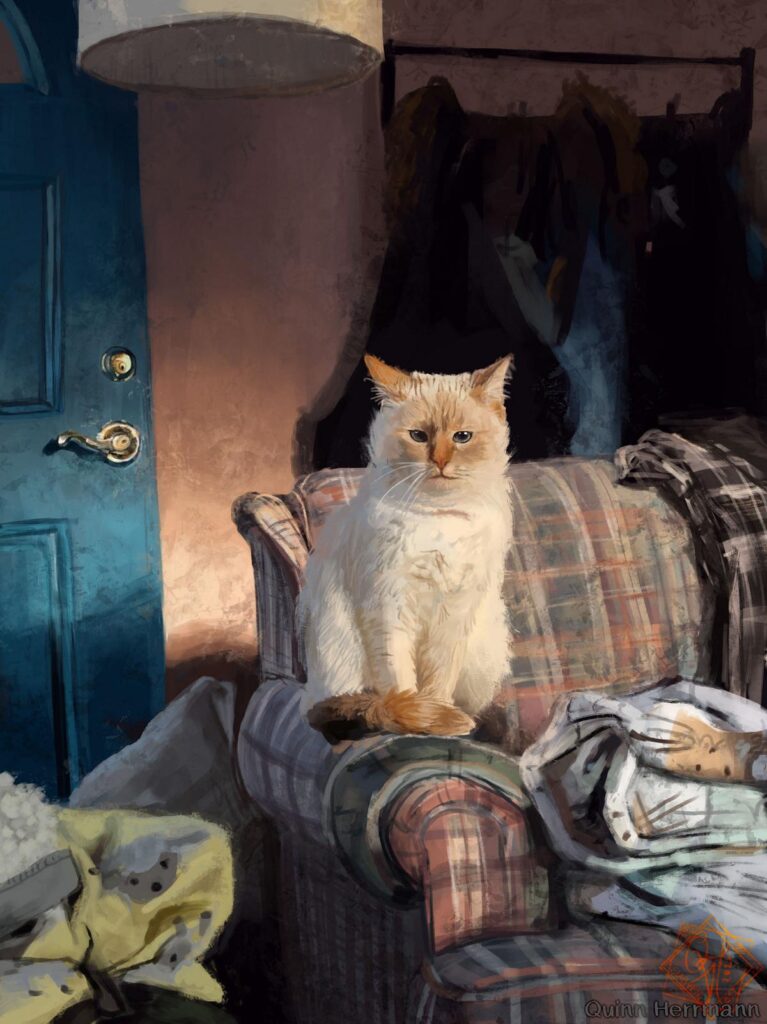 K1600_katze quinn herrmann