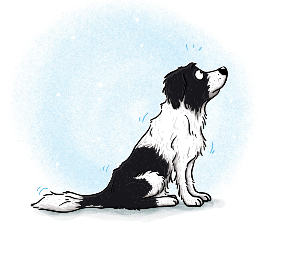 Literaturagentur-Arteaga_Kinderbuch_Illustration_Katrin_Pöllath_ (44)