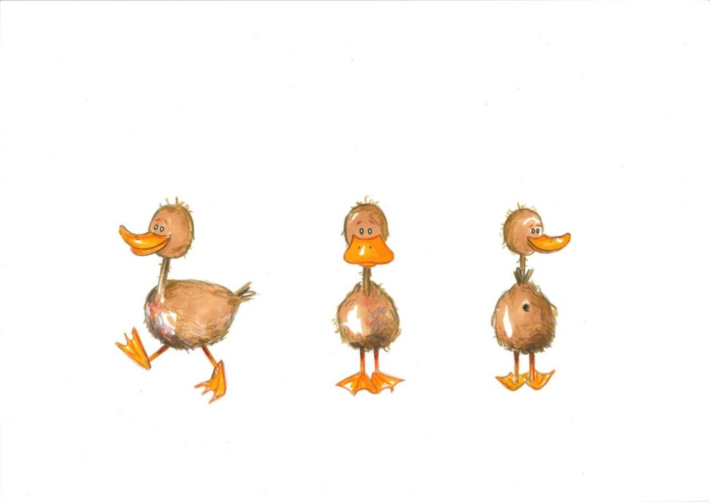 K1600_Ente_Studie_klein